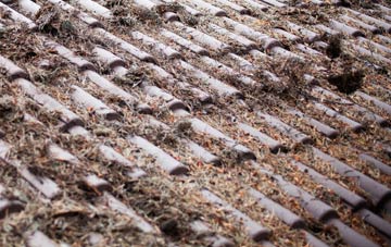 Hewood roof cleaning companies